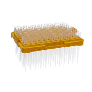 Rack de Ponteira Universal com Filtro 2-20 µL
